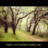 Craig Scoffone Photography Studios gallery