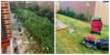 Cleanicall - Lawn Cutting & Maintenance
