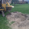 A1 Stump Grinding Service gallery