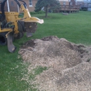 A1 Stump Grinding Service - Tree Service
