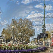 Gallery Image Number 2