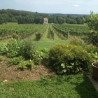 Fiore Winery