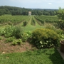 Fiore Winery