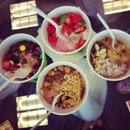 The Yogurt Exprience - Yogurt