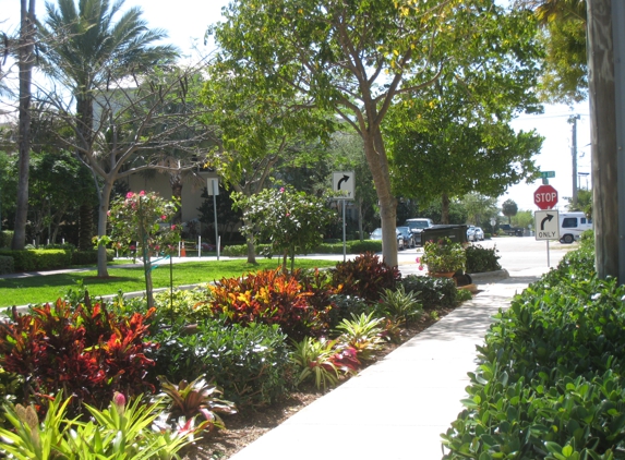 Delray Discount Landscaping Services - Delray Beach, FL