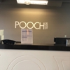 Pooch Hotel Norwalk gallery