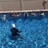 Drift2Sail Swim School gallery