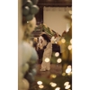 Bloom Market & Refillery gallery
