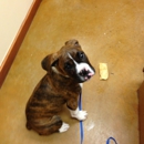 Neighborhood Pet Health Center - Pet Boarding & Kennels