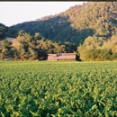 Hafner Vineyard - Tourist Information & Attractions