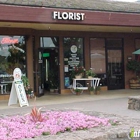 San Marin Flowers