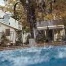 Longbranch Recovery & Wellness Center