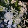 Bella Flora gallery