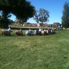 Lattin Farms