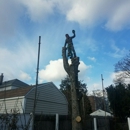 brinkstar tree service - Tree Service Equipment & Supplies