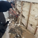 Best Options Restoration of Colorado Springs - Water Damage Restoration