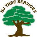 BJ Tree Service, LLC - Stump Removal & Grinding