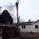 JR's Tree Service, LLC - Arborists