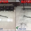 Oncort Professional Services gallery