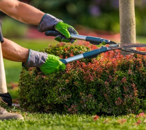 Flora Tree Services - Gungahlin, ACT. Gardening Services
