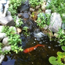 Goldfish Gardens - Lawn & Garden Equipment & Supplies