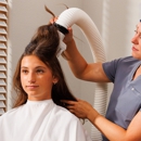 Lice Clinics Of America - Centreville