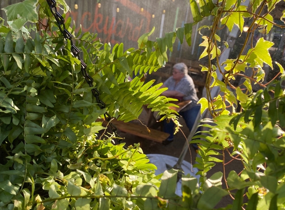 The Backyard - New Orleans, LA