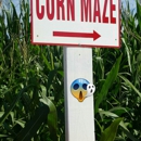 Forneris Farms - Farms