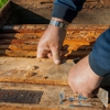 Graham Taylor Pest Control gallery