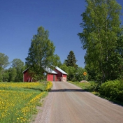 Gallery Image Number 5