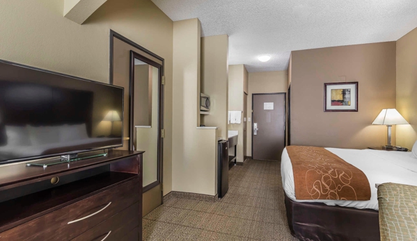 Comfort Suites The Colony - Plano West - The Colony, TX