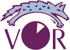 Veterinary Ophthalmic Referrals - Veterinary Surgeons