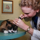 The Cat Doctors - Veterinarians