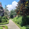 Walton Centennial gallery
