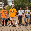 Bolt Dog Training - Pet Training