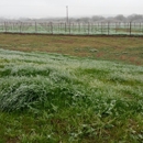Kuhlman Cellars - Wineries