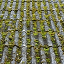 Integrity Roofing - Roofing Contractors