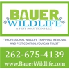 Bauer Wildlife & Pest Solutions gallery