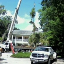 Coastal Tree Service - Arborists