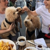 Gracie Mews Diner gallery