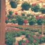 Strawberry Hill Farms