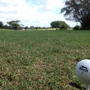 Delray Beach Golf Club