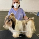 Marquis Kennel - Pet Breeders