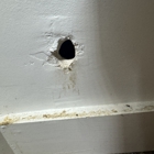 247 Pest Control NYC