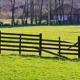 Long Fence