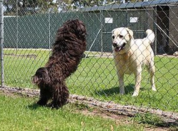 Pets Park Kennels - Sancrox, NSW