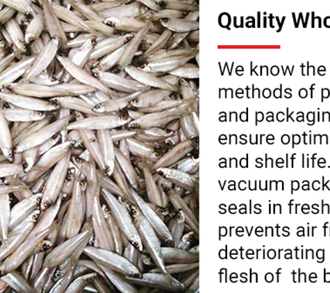 Seaford Bait Pty Ltd - Dandenong, VIC. Quality Whole Baits