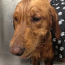 Lee's Outback Grooming - Pet Grooming