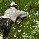 Flynn's Tree Svc - Tree Service