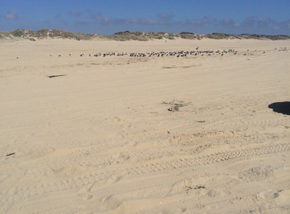 Oceano Dunes State Vehicular Recreation Area - Oceano, CA